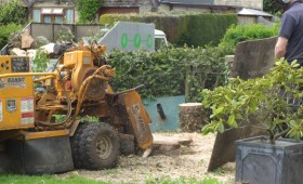 Stump Grinding