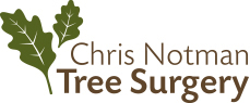 CNTrees-Oak Logo-229x95