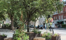 Daylesford Organic Pimlico Parklet